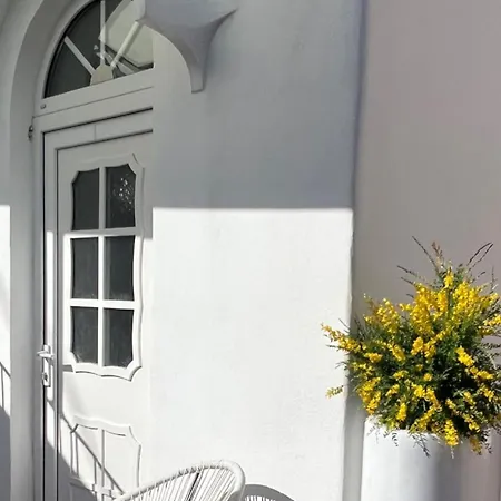 Design Capri